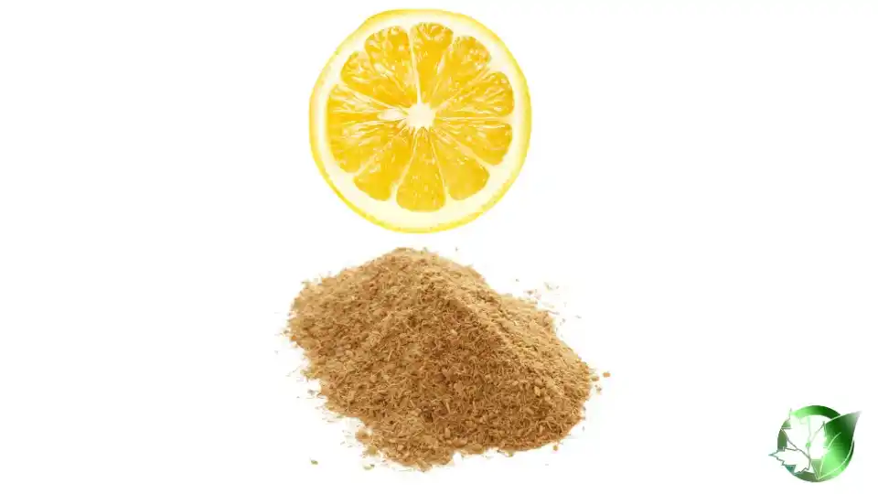 Bulk Lemon Jelly Powder | Suppliers | Wholesale | ParsaFood Global